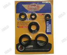 Complete Oil Seal V80